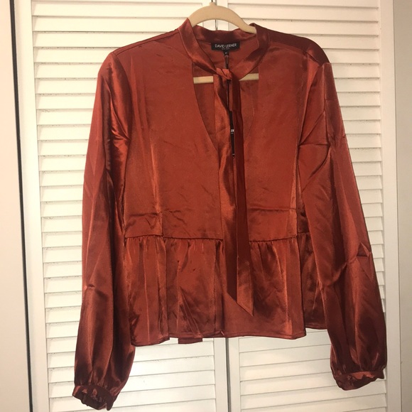 π₯HPπ₯David Lerner necktie Blouse.π₯π₯π₯π₯π₯π₯ - Picture 4 of 6